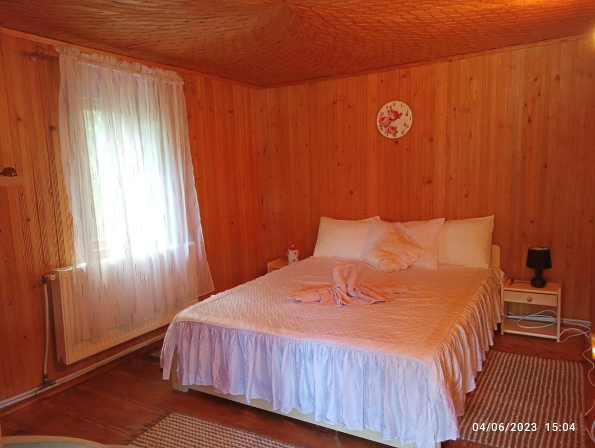 Casa Soveja Rucareni Guest House Екстериор снимка