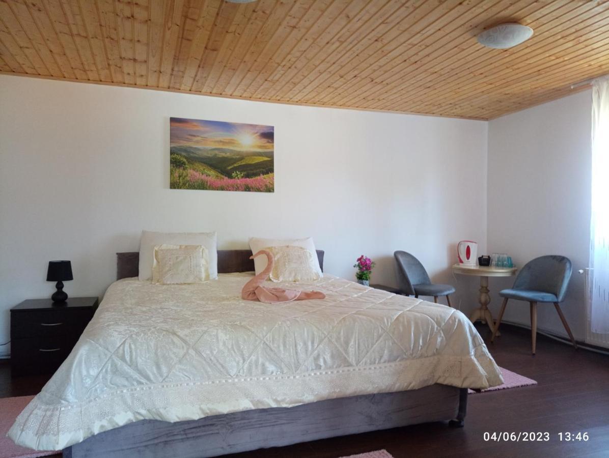 Casa Soveja Rucareni Guest House Екстериор снимка