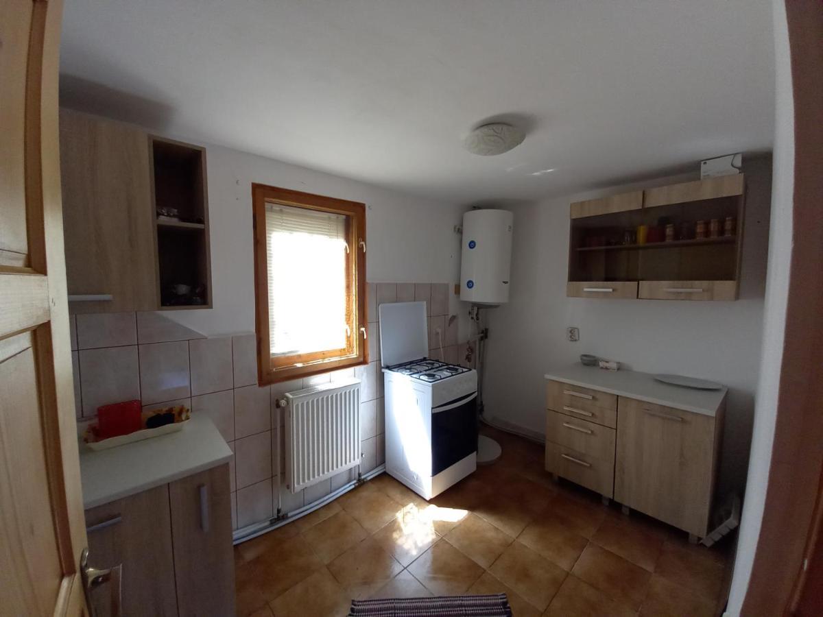 Casa Soveja Rucareni Guest House Екстериор снимка
