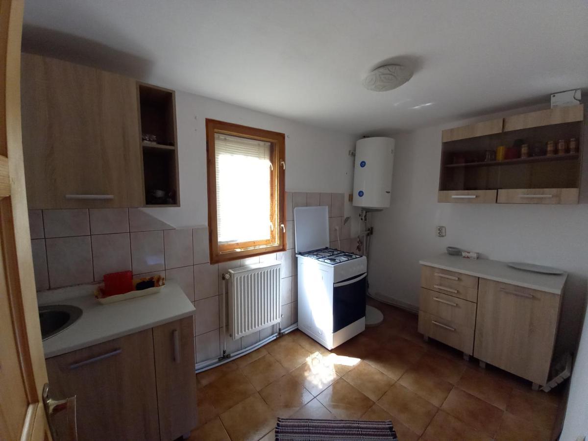 Casa Soveja Rucareni Guest House Екстериор снимка