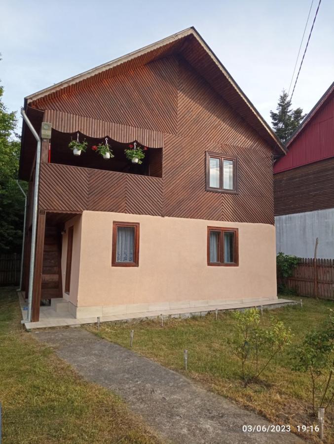 Casa Soveja Rucareni Guest House Екстериор снимка