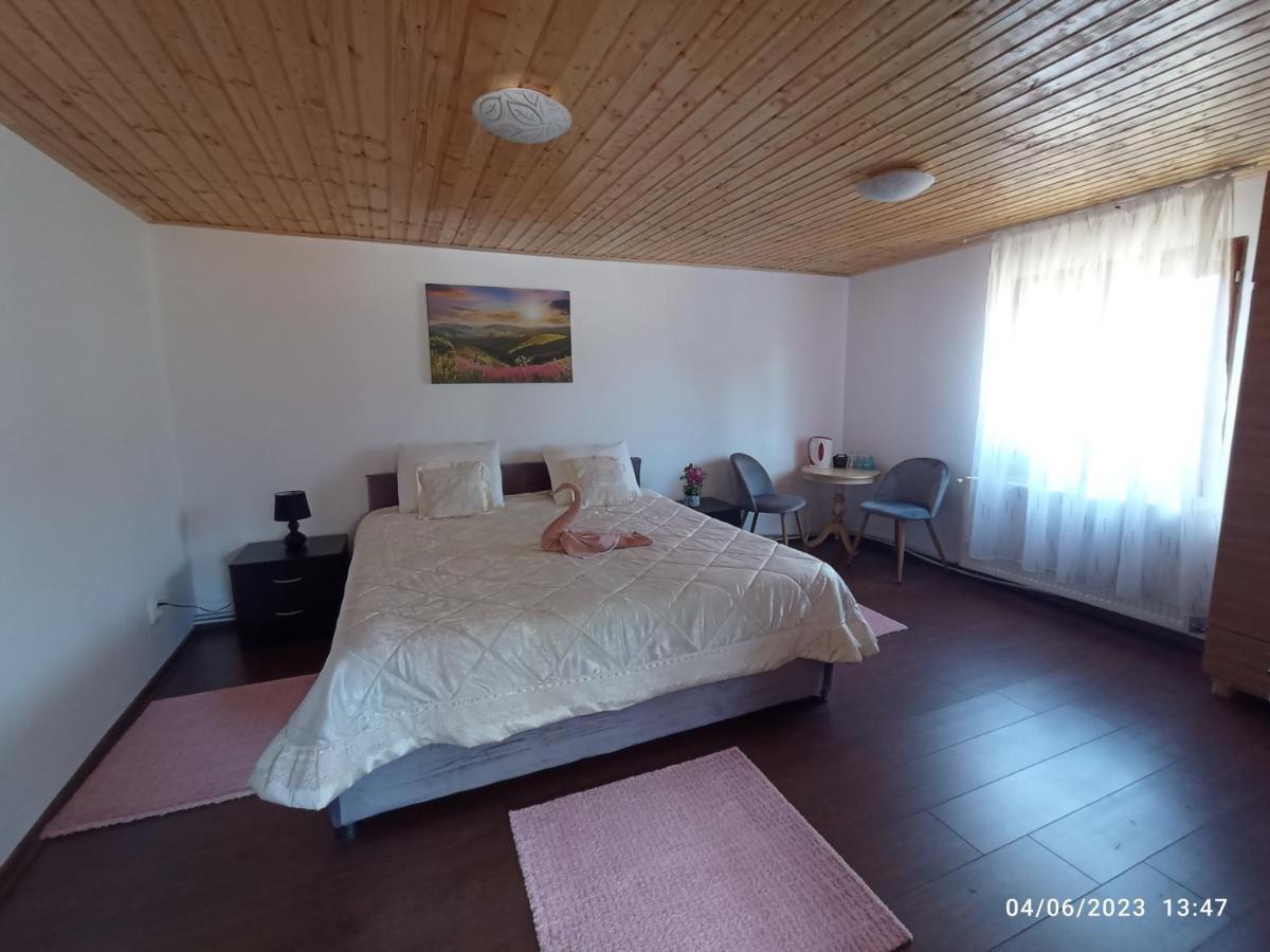 Casa Soveja Rucareni Guest House Екстериор снимка