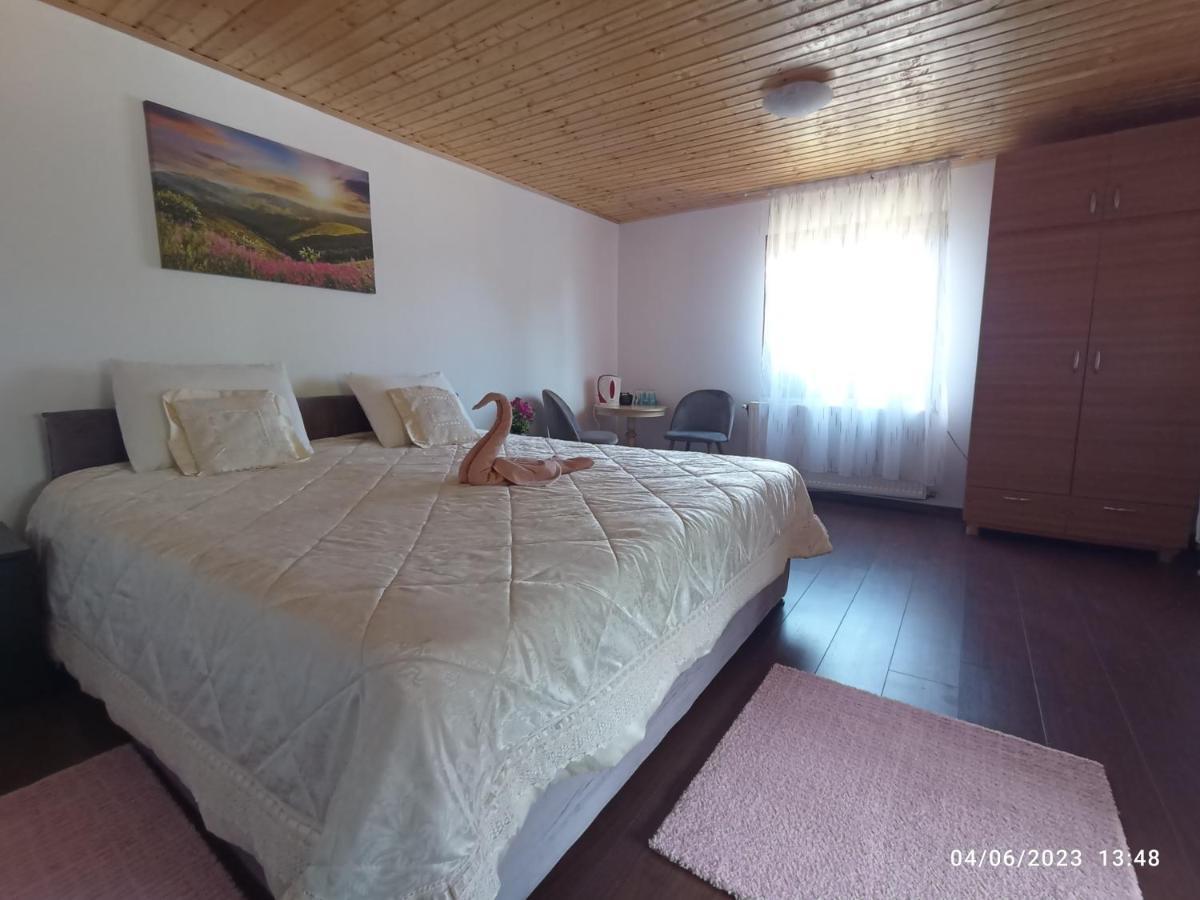 Casa Soveja Rucareni Guest House Екстериор снимка